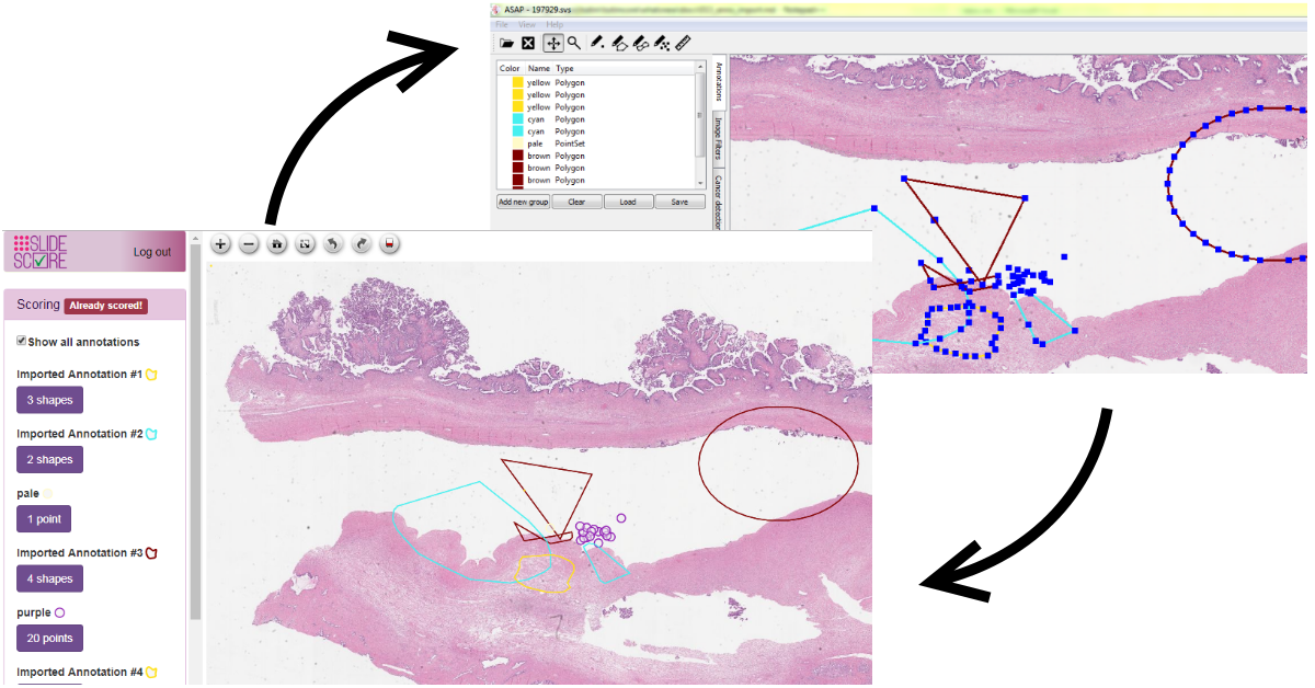 Import and export of annotations Import and export of annotations